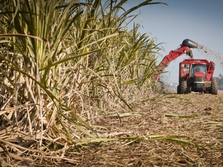 Vendas de etanol superam 5 bilhões de litros no primeiro bimestre de 2019