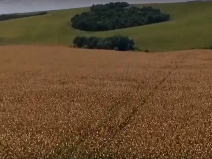 Terra&Cia - Programa piloto