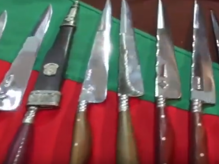 Programa Terra&Cia - Agosto de 2017