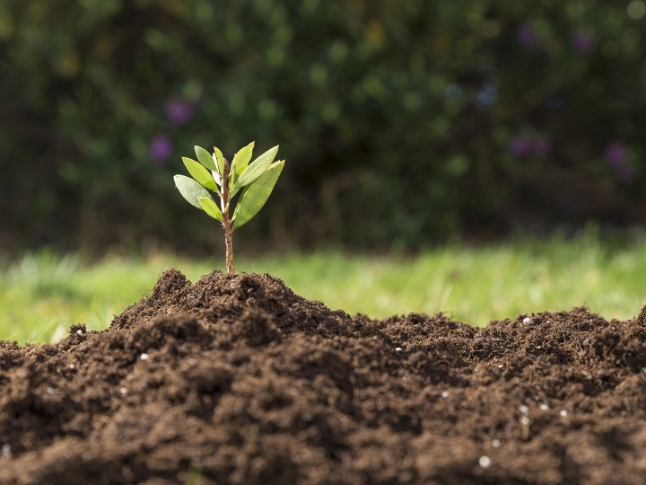 Laboratório de solos da Tereos recebe certificação do IAC