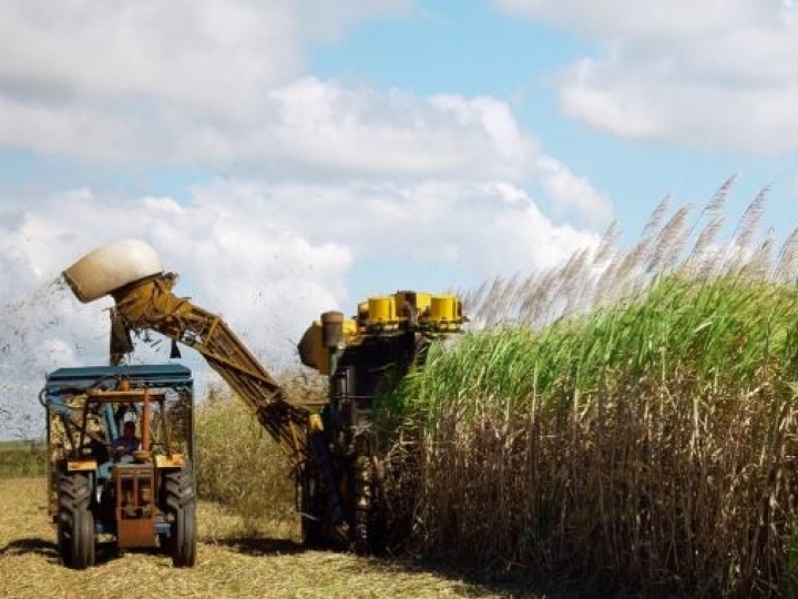 Lideranças do setor sucroenergético discutem o futuro do biocombustível 