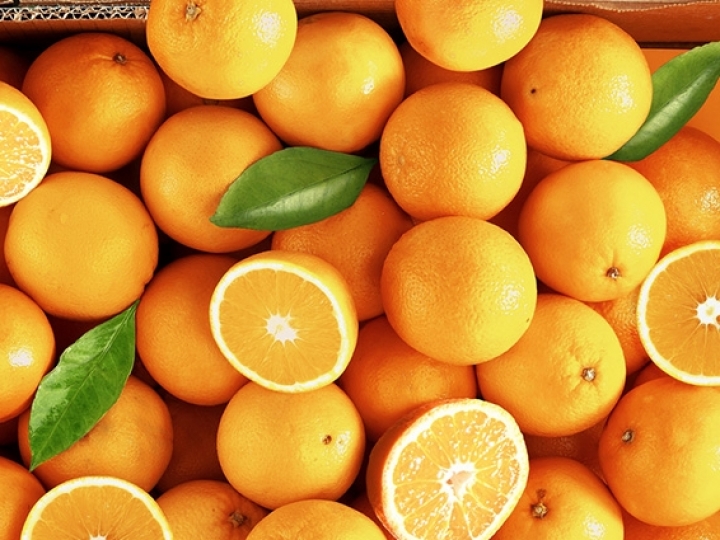Exportações de suco de laranja registraram queda de 13% nos nove primeiros meses da safra 2018/2019