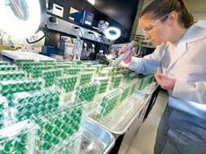 CNA realiza seminário agro em questão: agricultura e biotecnologia - Brasil e China