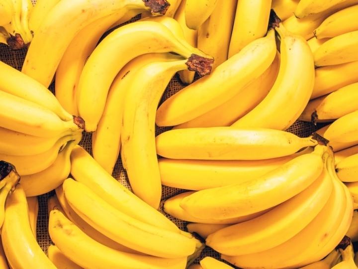Biotecnologia pode evitar a extinção da banana