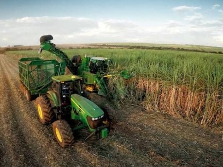 Safra de cana-de-açúcar começa mais alcooleira no Centro-Sul