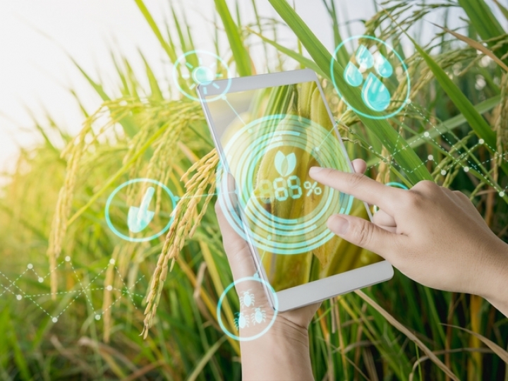 Aberje e Abag lançam novo Lab de Agronegócios