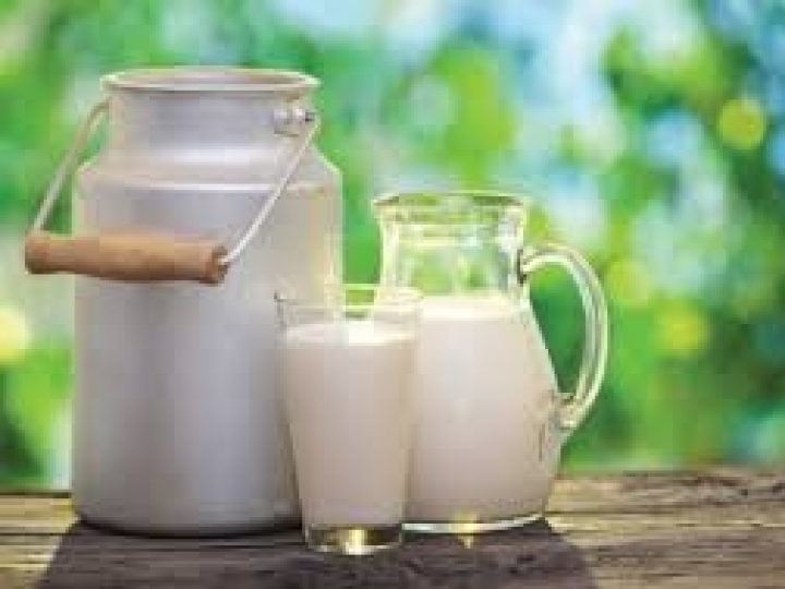 Preço do leite sobe no RS