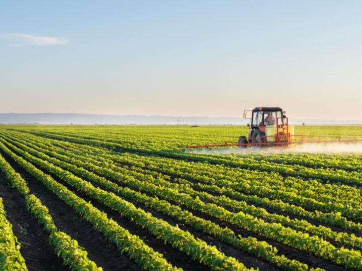 Conab debate estratégias para a agricultura mundial com países integrantes do G20 na Itália