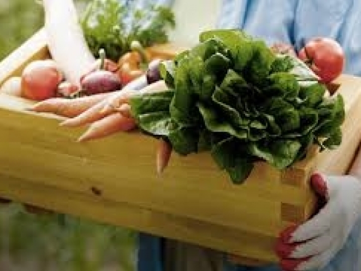 Preços agropecuários mantém trajetória ascendente