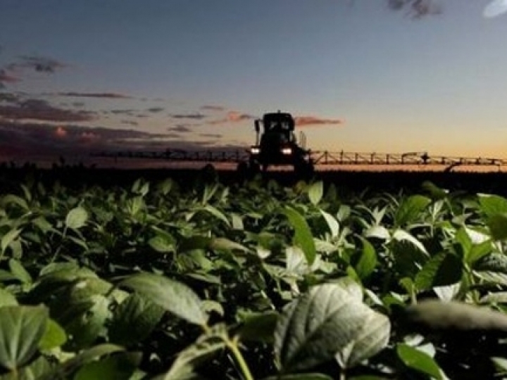 Dia 30 de junho é o prazo para fabricantes e comerciantes de defensivos agrícolas se cadastrarem no GEDAVE