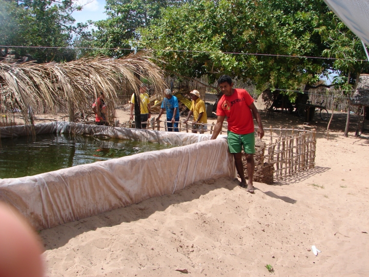 Sisteminha Embrapa avança no Brasil e alcança sete países  