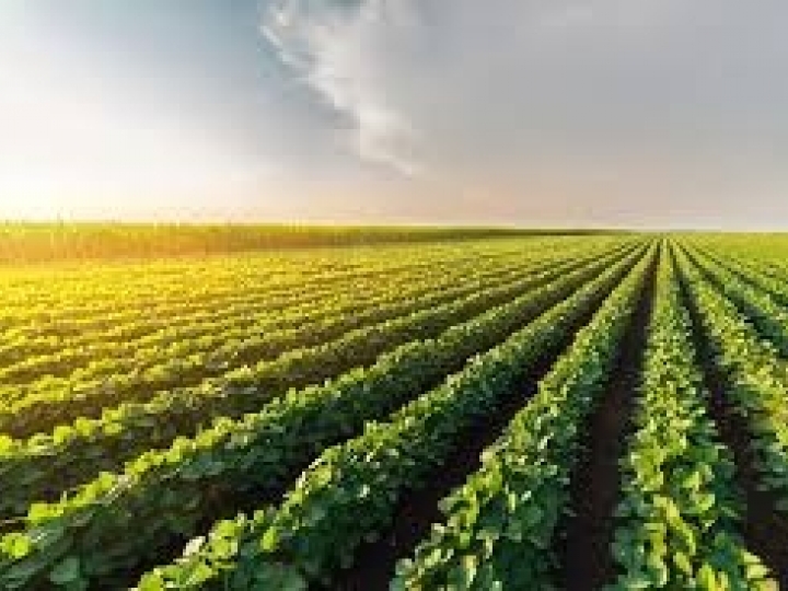 Corteva Agriscience™ conclui separação da holding DowDuPont para se tornar uma empresa totalmente focada em agricultura