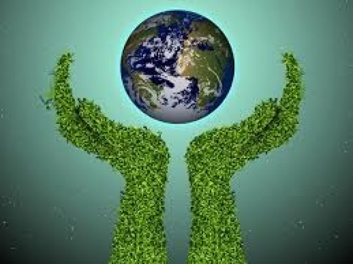 Cuidar do meio ambiente, cuidar do futuro