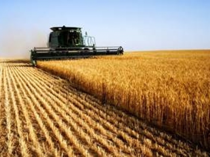 Novos valores para subvenção confirmam fortalecimento do seguro rural como instrumento de política agrícola no país