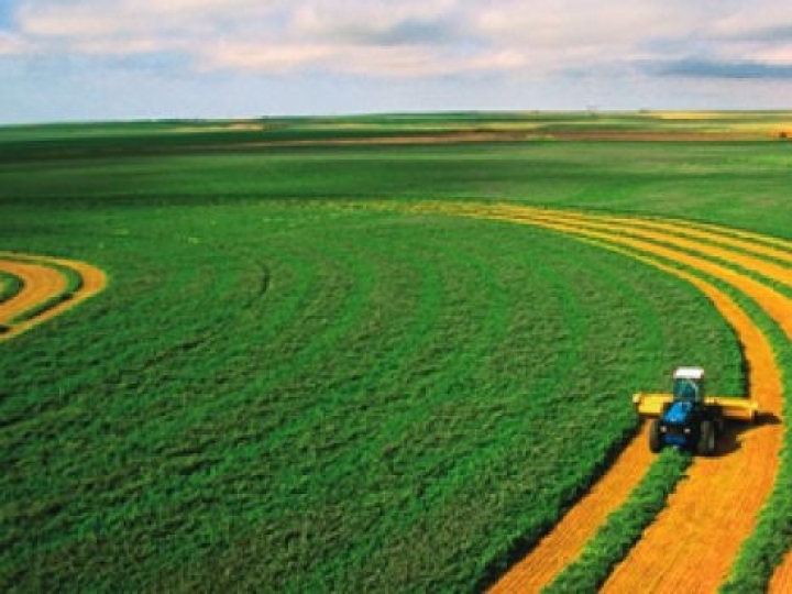 Bayer aumenta seu compromisso com transparência e sustentabilidade