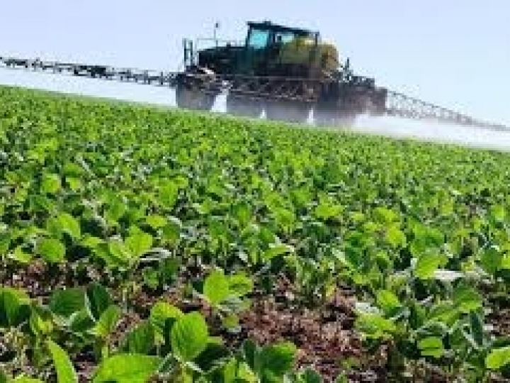 DataSafra permite acompanhar a evolução das safras de soja e milho safrinha em tempo real