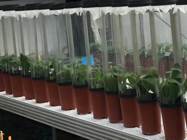 Foto: Acervo pessoal da autora