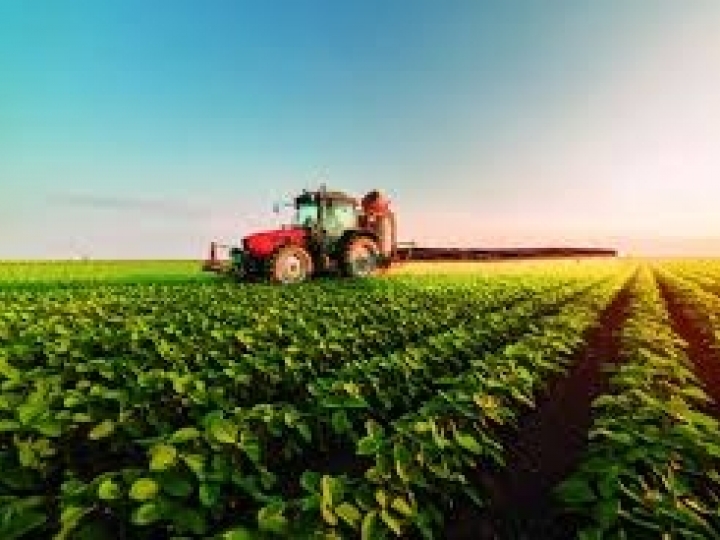 CNA prevê crescimento de 0,1% no valor bruto da produção em 2019