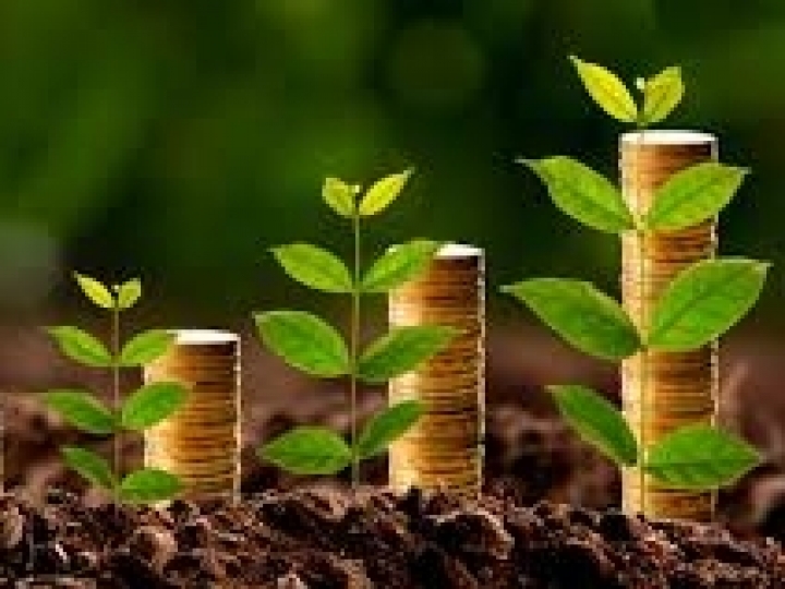 Contratações de crédito rural somaram R$ 16,5 bi em julho