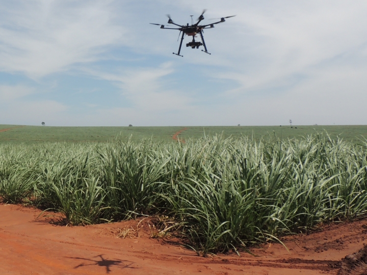Drones devem substituir aeronaves na pulverização agrícola dentro de poucos anos