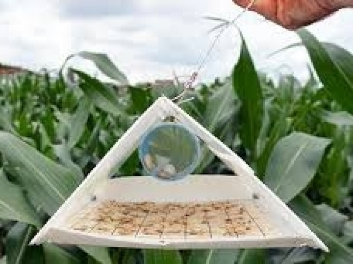 Indústria de produtos biológicos deve viver novos ciclos de inovação