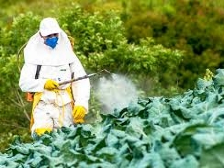 SRB contesta ‘Zorra Total’ sobre defensivos agrícolas no Brasil