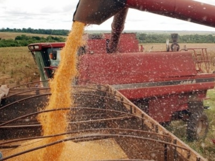 É preciso mudar a maneira como se produz alimento no mundo, alerta IPCC