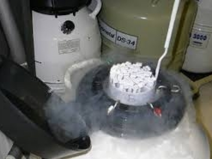 Vendas de sêmen bovino crescem 19,1% 