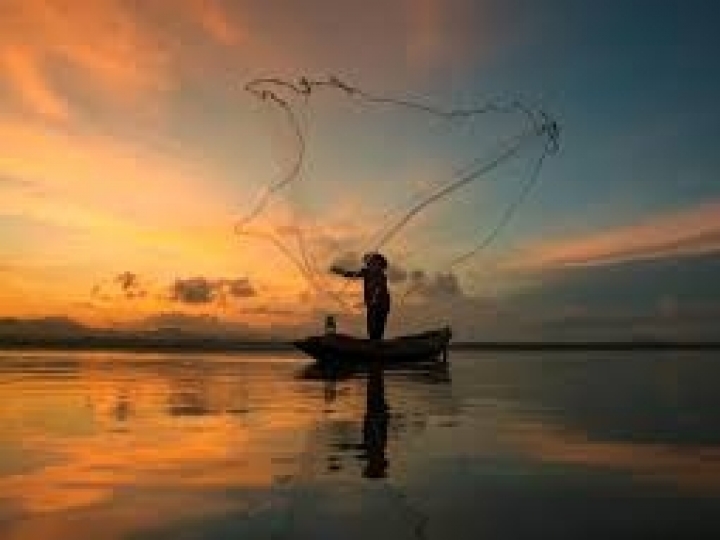 Secretaria de Pesca cancela 300 licenças de pesca profissional