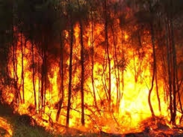 Biosev leva Programa de Combate a Incêndios a escolas