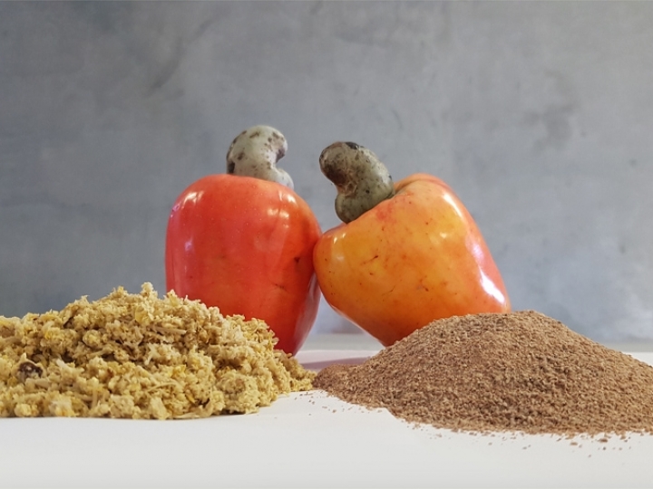 Fibra de caju processada em laboratório previne obesidade em animais