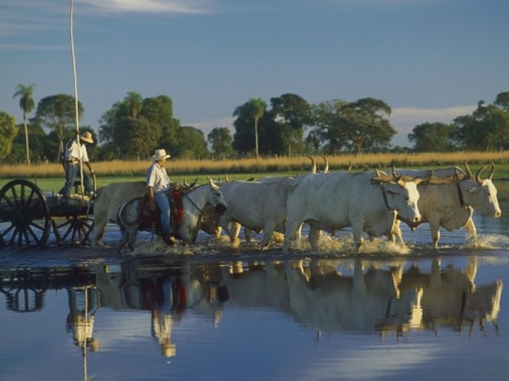 Tecnologia para medir o grau de sustentabilidade das fazendas do Pantanal