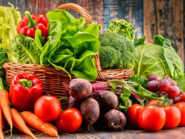 Rastreabilidade de vegetais começa a ser fiscalizada