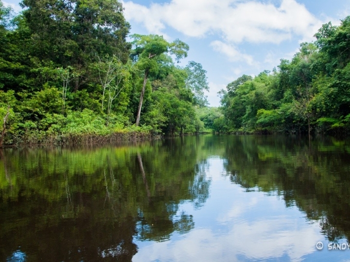 Campanha Seja Legal com a Amazônia