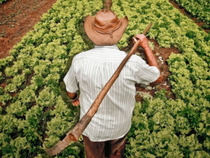 AgroNordeste: R$ 5 milhões para formação de estoques da agricultura familiar
