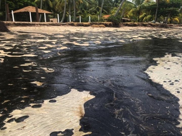 Medidas adicionais para monitorar pescado de área afetada por vazamento de óleo