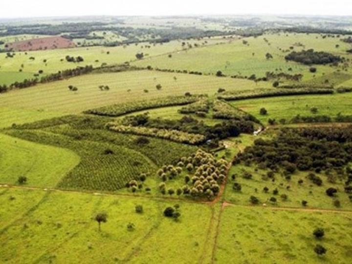 SRB defende flexibilização em PL de venda de terras para estrangeiros