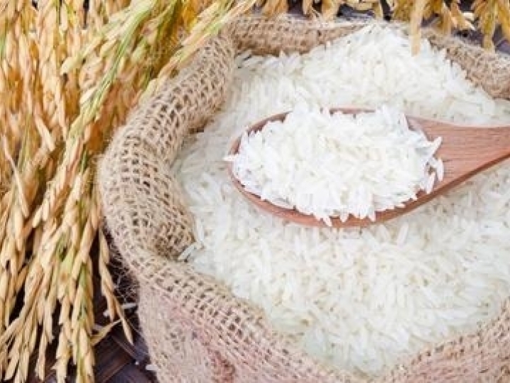 Pesquisa da Embrapa busca aumentar teor de zinco de arroz no Maranhão