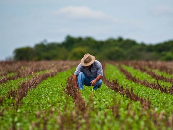 AgroNordeste vai ajudar a reduzir as diferenças regionais na agricultura