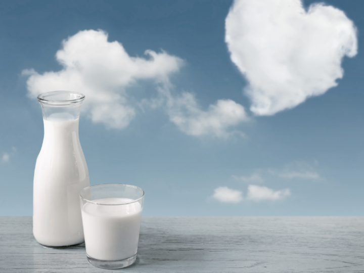 Preço do leite tem leve elevação em novembro