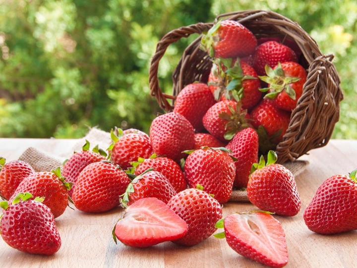 Produção de morangos em SP