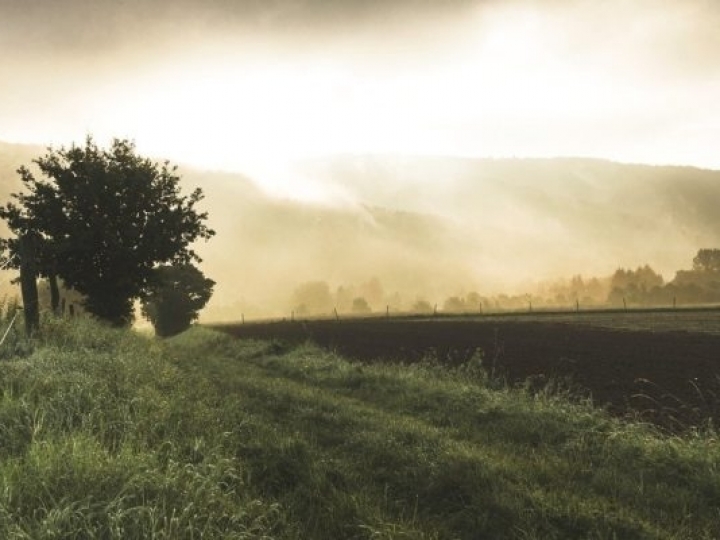 Dez perguntas e respostas sobre a MP da Regularização Fundiária