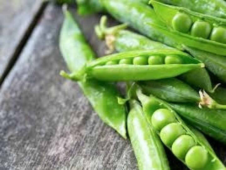 Vagem: Um alimento com baixo valor calórico e rico em proteínas