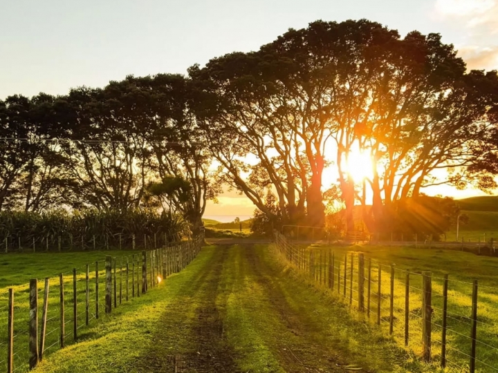 MP revê a regularização fundiária 