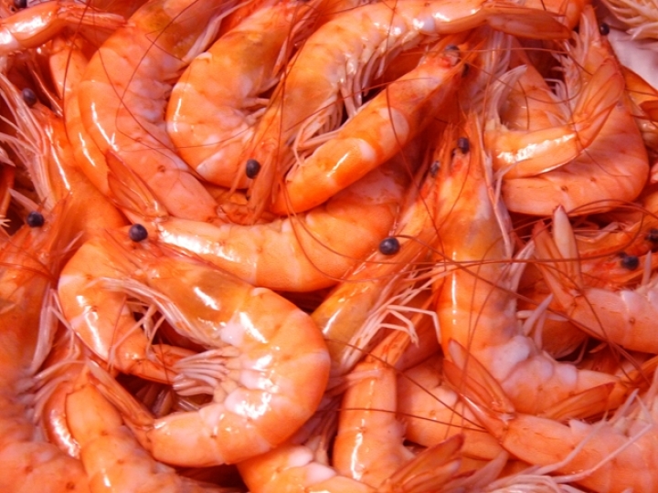 Consulta pública sobre Análise de Risco de Importação de camarões