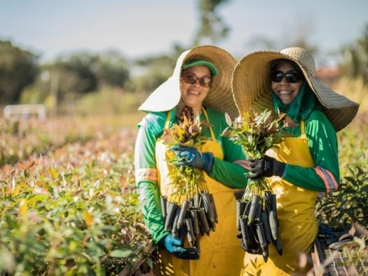 Eldorado Brasil abre vagas para MS e SP