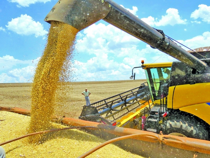 Conab projeta safra brasileira com mais de 246 milhões t