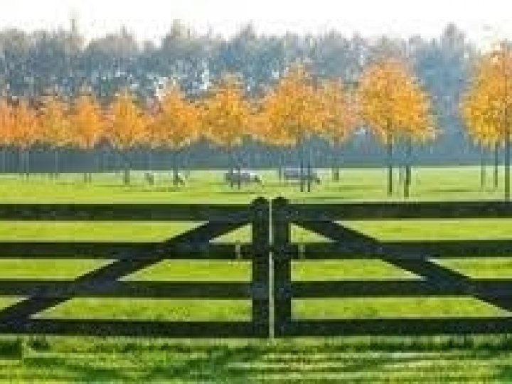 Contratação de seguro rural no Norte e Nordeste dobra em 2019