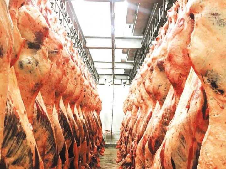 SKG abre fábrica de produtos para cortes em frigoríficos