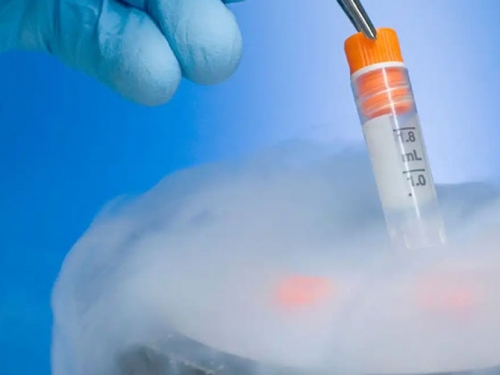 Núcleo genético de doadoras e lança linha premium de embriões